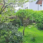 Vichova Vila_1935 - Funkcionalisticky Skvost V Horicich V Podkrkonosi * Hořice